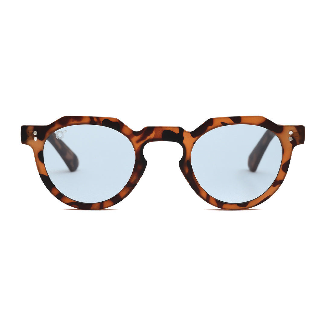 LONDON TORTOISE