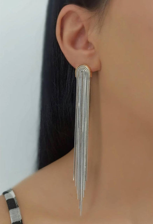 EARRINGS STAINLESS NEAT