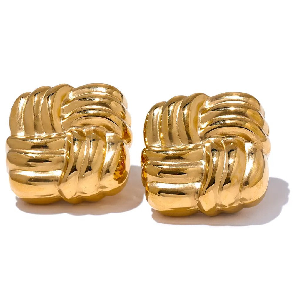 EARRINGS STAINLESS HARMONY